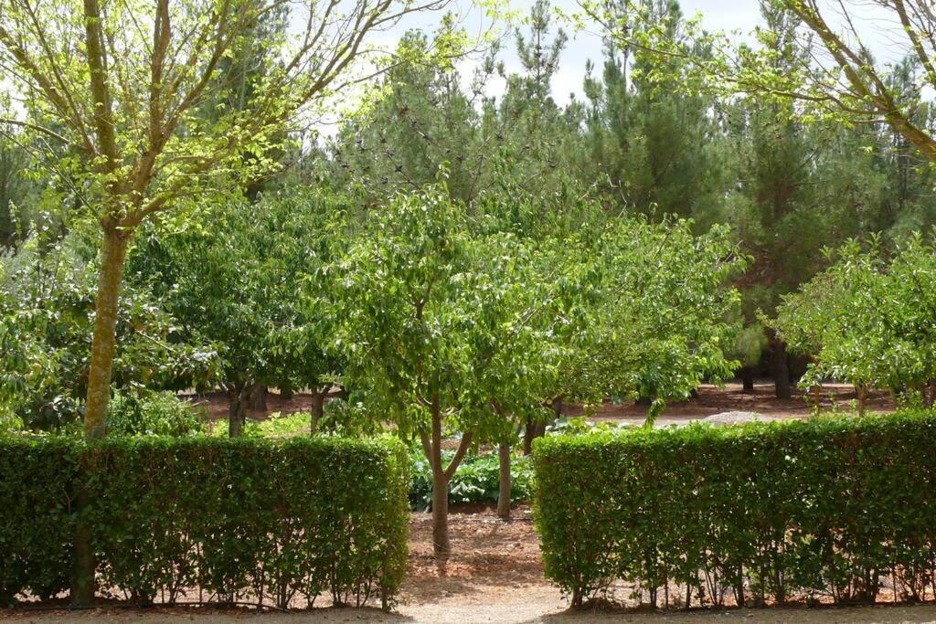 Casa en el campo con encanto Almansa Exterior foto
